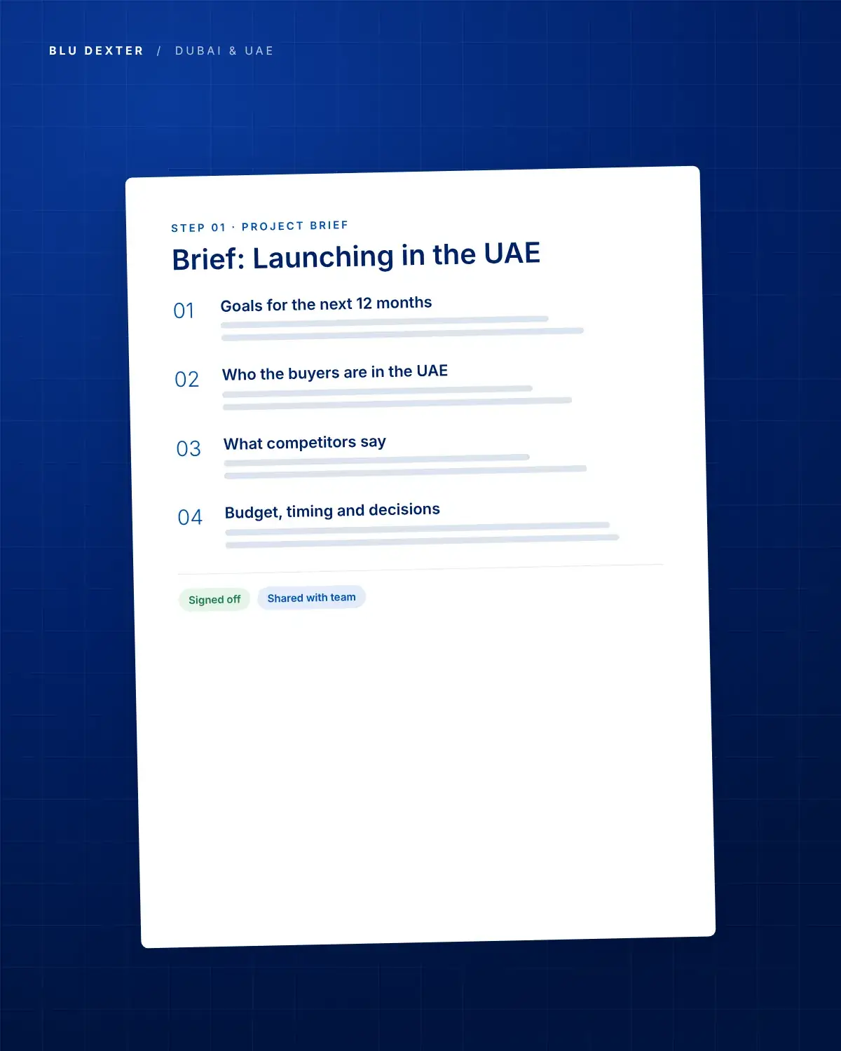 Step 1, Brief: Project brief for a UAE launch